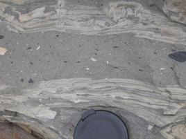 Sédiments liquéfiés et plis d’écoulement dans le flysch carbonaté, Nouméa.