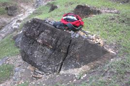 Turbidites grossières à clastes de micrite, chert noir et bioclastes dans la région de Bourail.