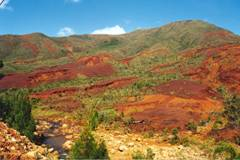 Paysage d’altération latéritique dans les péridotites, Massif du Sud.